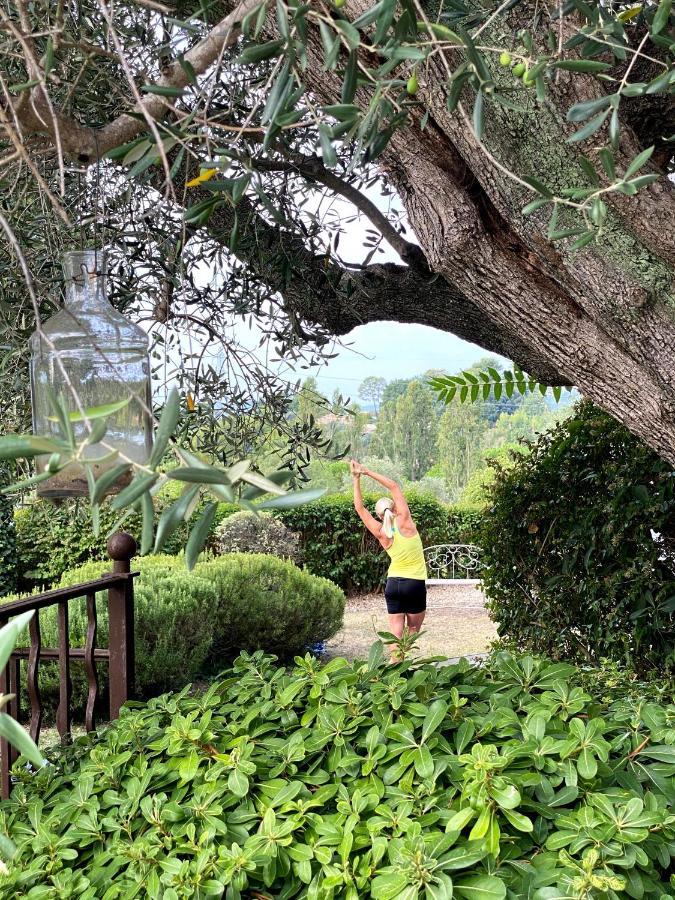 Le Manoir De L'Etang Hotel Mougins Bagian luar foto